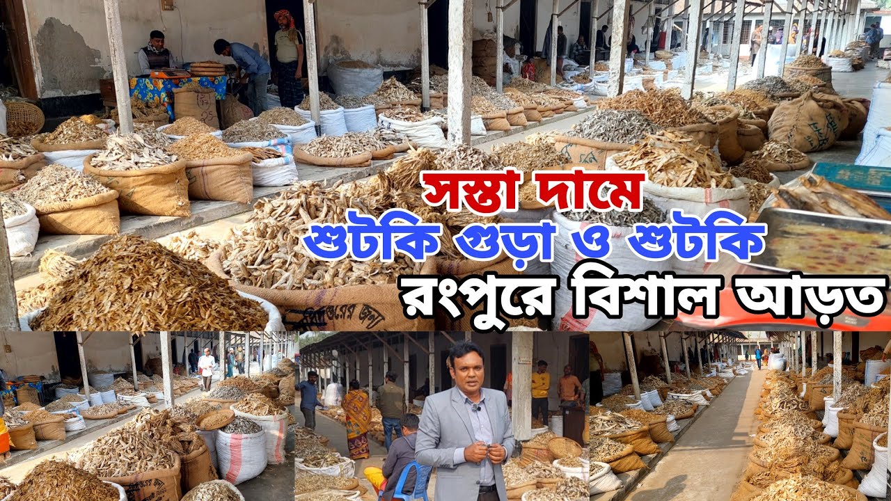 সস্তায় শুটকি গুড়া ও শুটকি | রংপুরের বিশাল আড়ত থেকে দাম দর কেমন |Agro Dream Bangla
