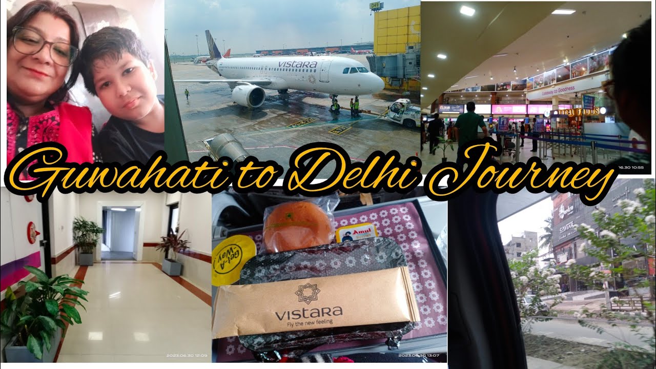 Guwahati to Delhi Journey By Flight/#vlogjourney #vistaraflight#guwahatitodelhi