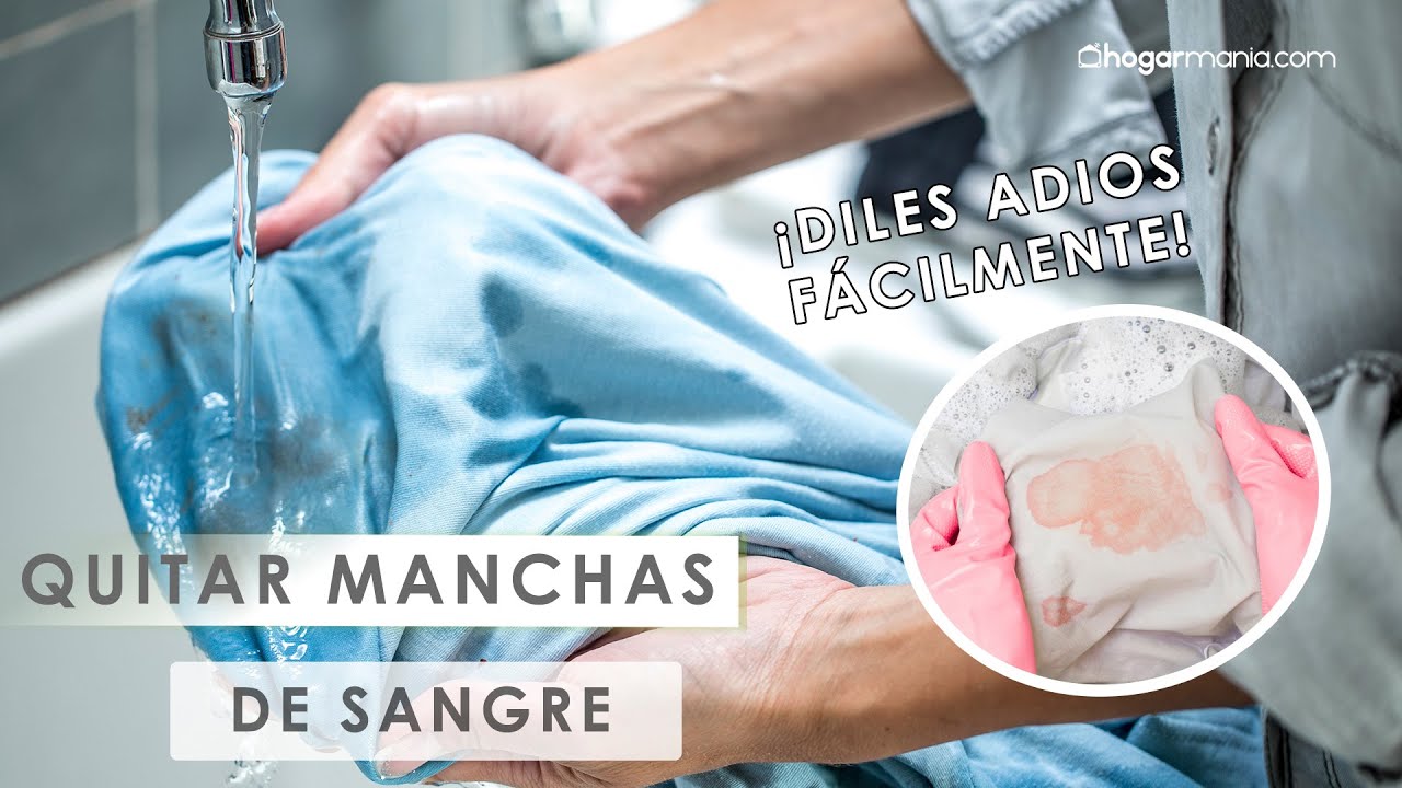 Cómo quitar manchas de sangre de la ropa 🧽​👚​ Truco de Hogarmania