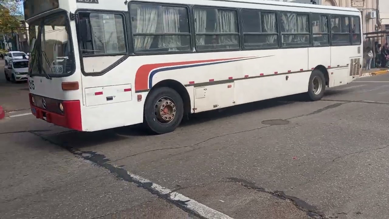 [Exterior] COTTUR 215 / Mercedes-Benz O371U