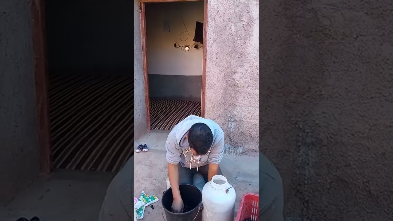 طريقة سهلة لتحضير (تيزبيبينت) الزيتون الاسود في المنزل مع ولد حمادي