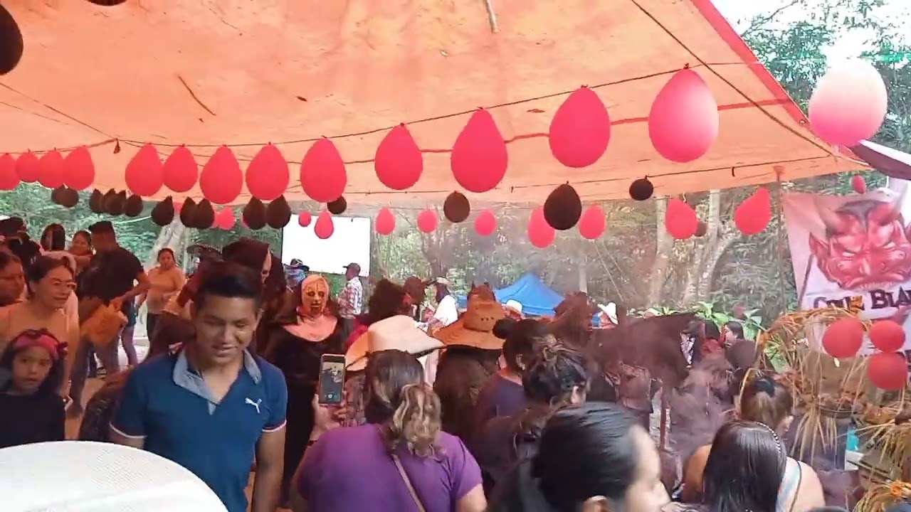 carnaval de cruz blanca ixhuatlan de madero veracruz 2024