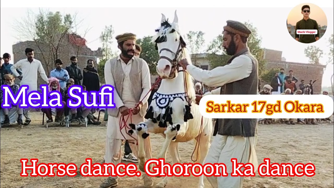 Horse dance. Ghoroon ka dance Mela Sufi Sarkar 17gd Okara 2026