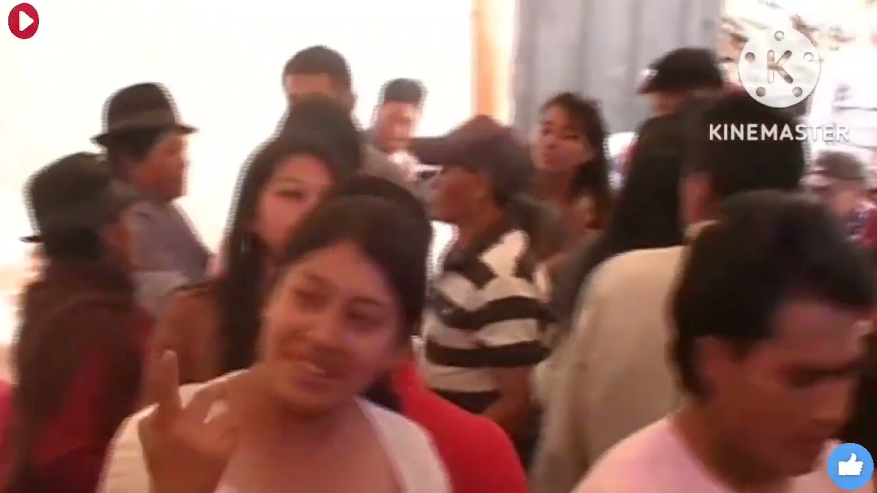 LA DINASTIA MUSICAL🎶👰 (FAMILIA YANEZ PALOMO)