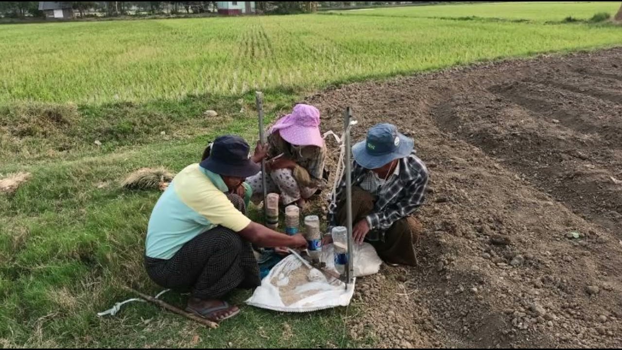 ကျောက်ဆည်မြို့နယ်၌ နှမ်းသီးနှံအထွက်တိုးစေရေး ဘောင်ကြီးတင်စိုက်ပျိုးနည်းစနစ်အကြောင်း အသိပညာပေး