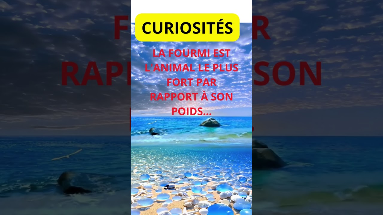 &Eacute;tablir des relations saines et significatives 🤝