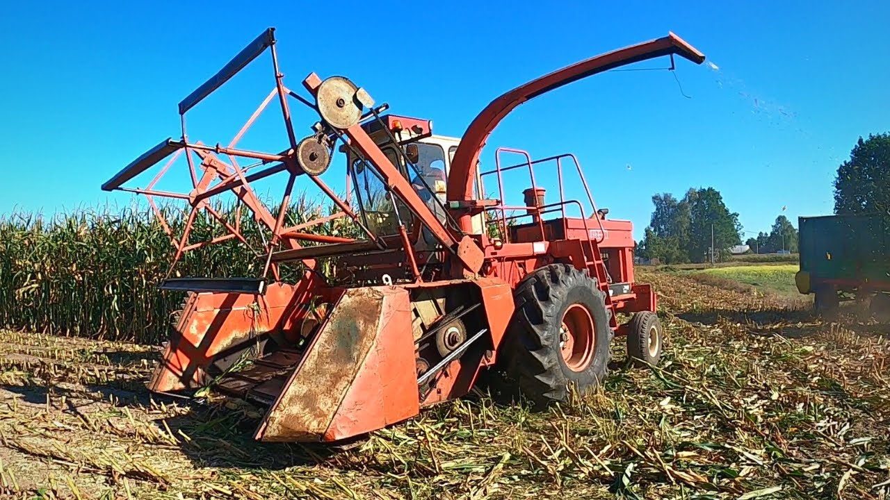 Zbiór Kukurydzy ,,ZETKĄ,, Orkan Z-350 [Dźwięk silnika]