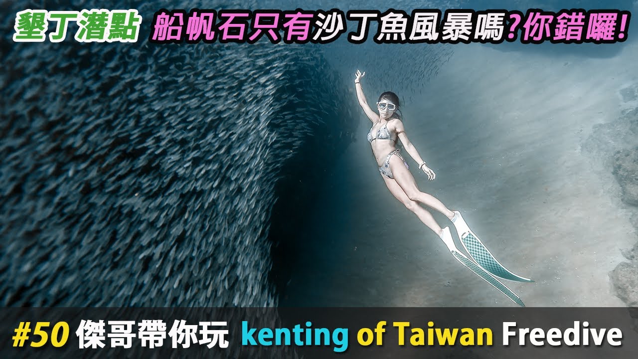 船帆石就只有看沙丁魚(銀漢魚)風暴嗎? 那你就錯囉還有更多東西 | 自由潛水 |  墾丁潛點 kenting |  傑哥帶你玩 Jerrygoplay | Freediving