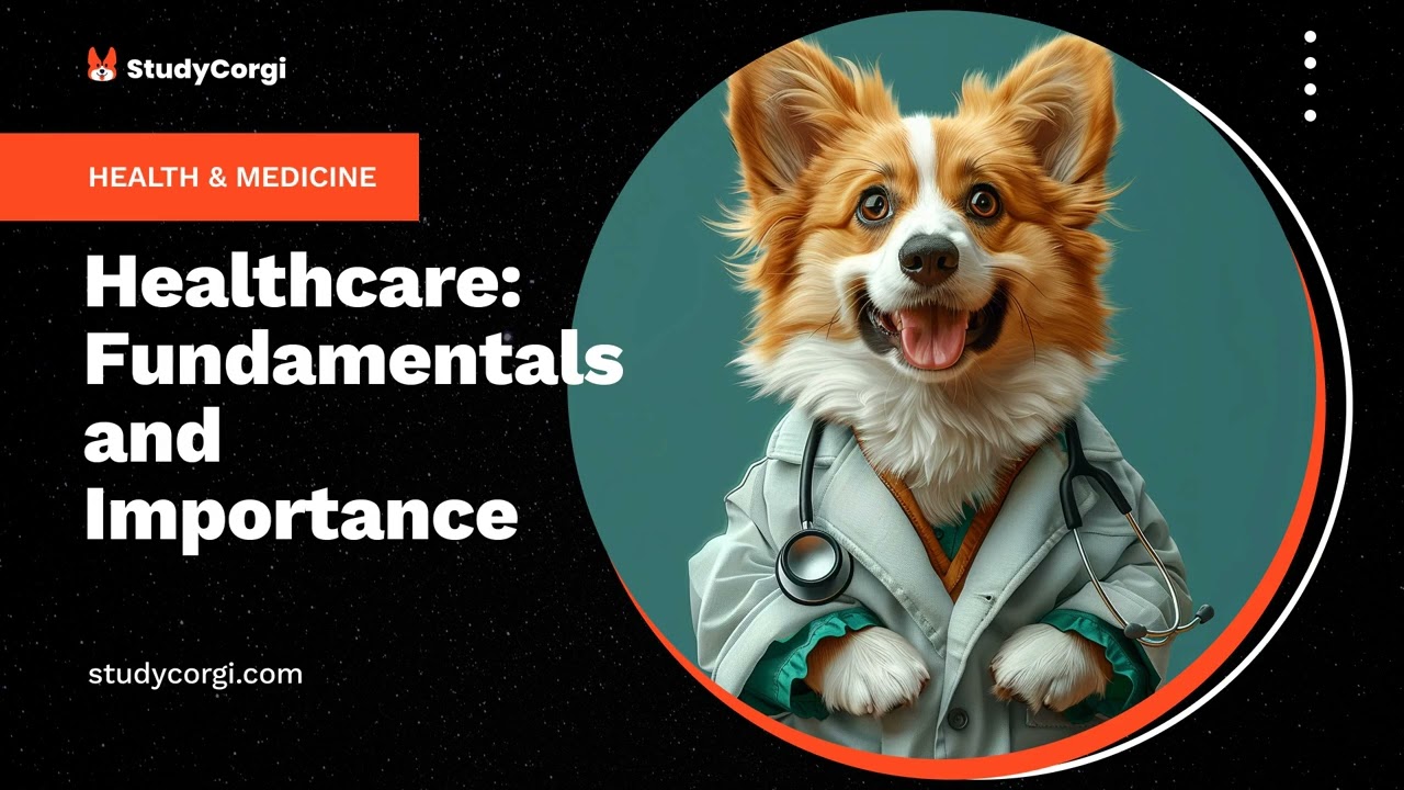 Healthcare: Fundamentals and Importance - Essay Example