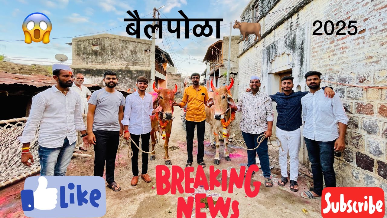 sallya गेला बैला खाली 😱😖 | करडगाव बैल पोळा २०२५ | 