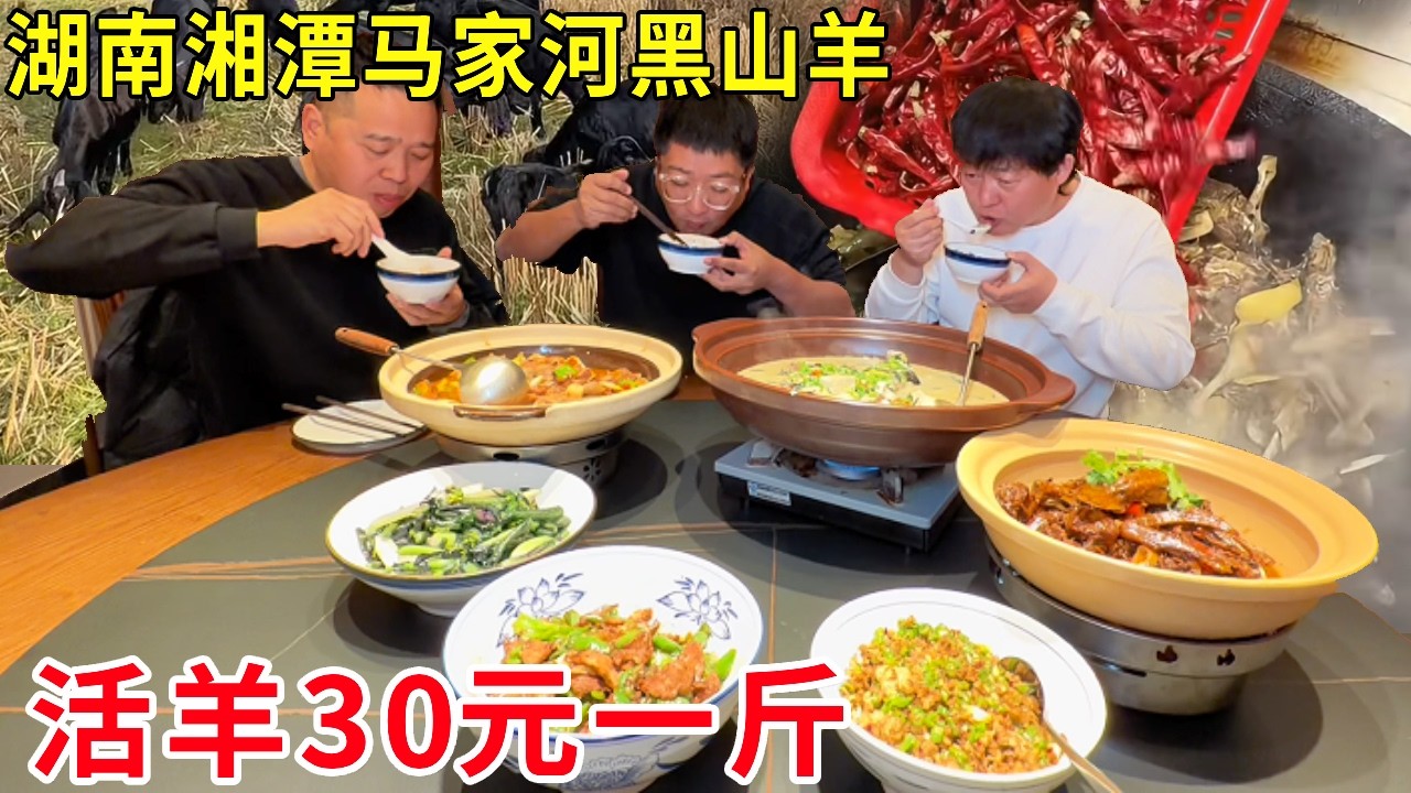 湖南湘潭马家河黑山羊！活羊 30 元一斤，带皮羊肉汤鲜掉眉#麦总去哪吃