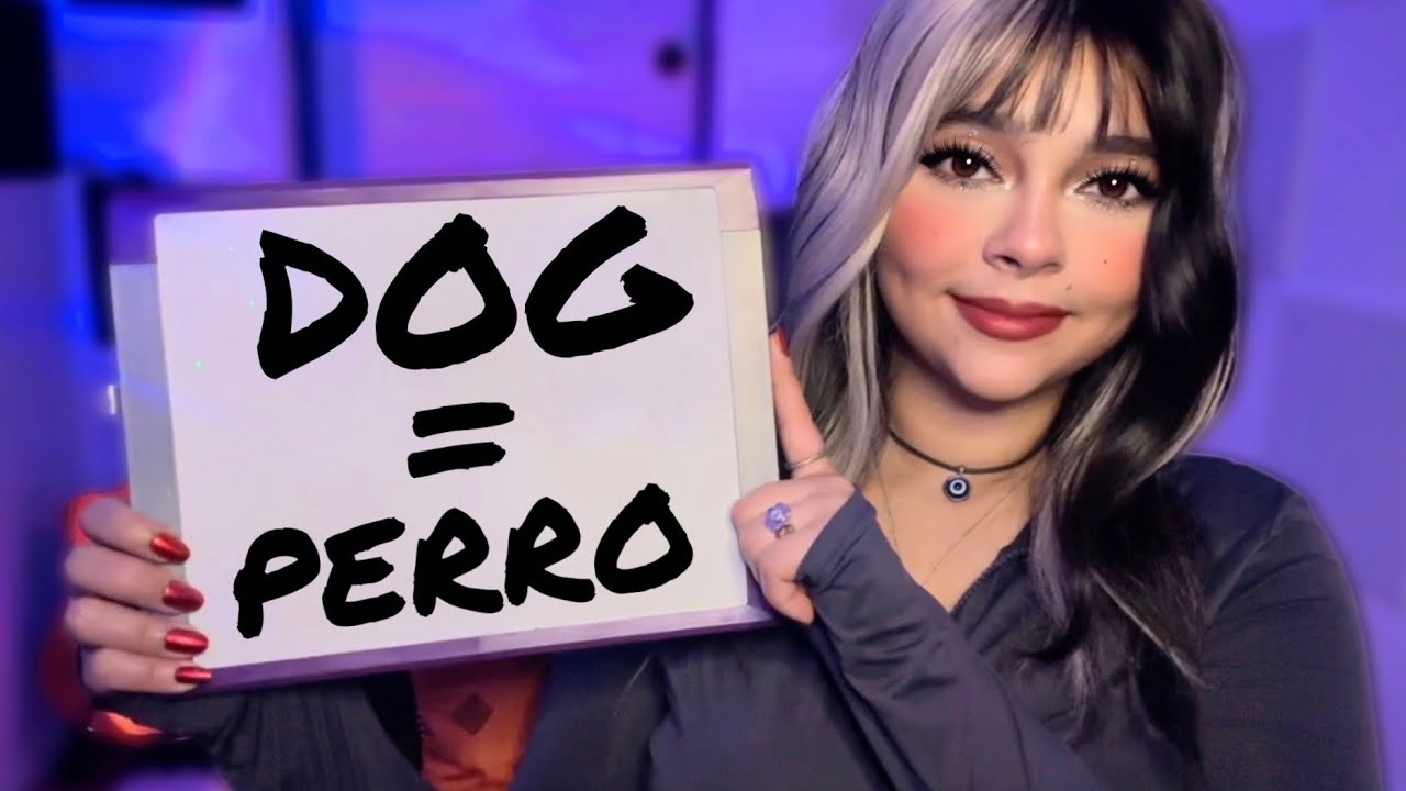 ASMR | Teaching you Spanish and English #2 🇦🇷🇺🇸 (Aprende Inglés)