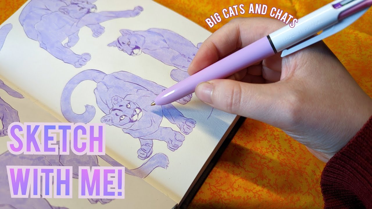 Draw with me while I study mountain lion poses ⭐ video games, art supplies, video ideas & cats