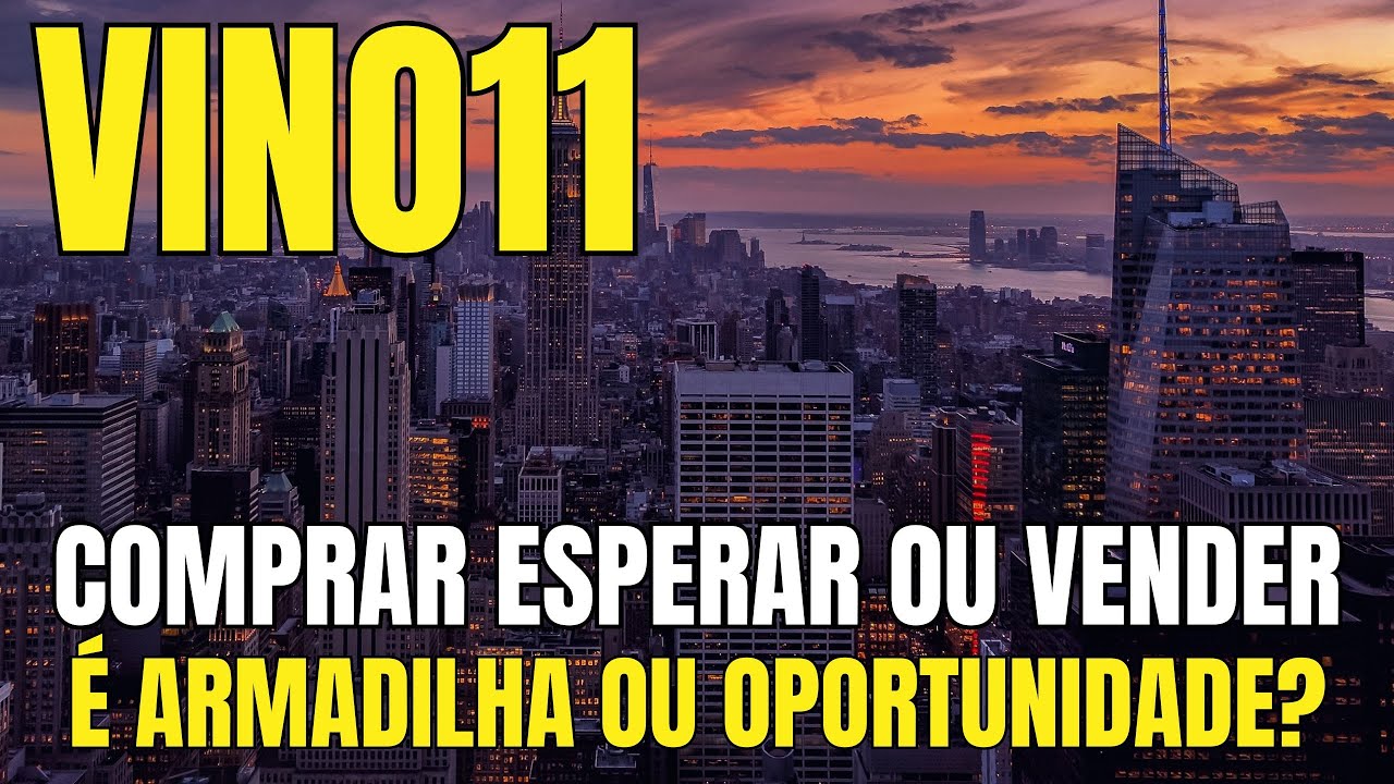 VINO11 EM QUEDA LIVRE &mdash; Voc&ecirc; precisa saber disso antes de comprar!