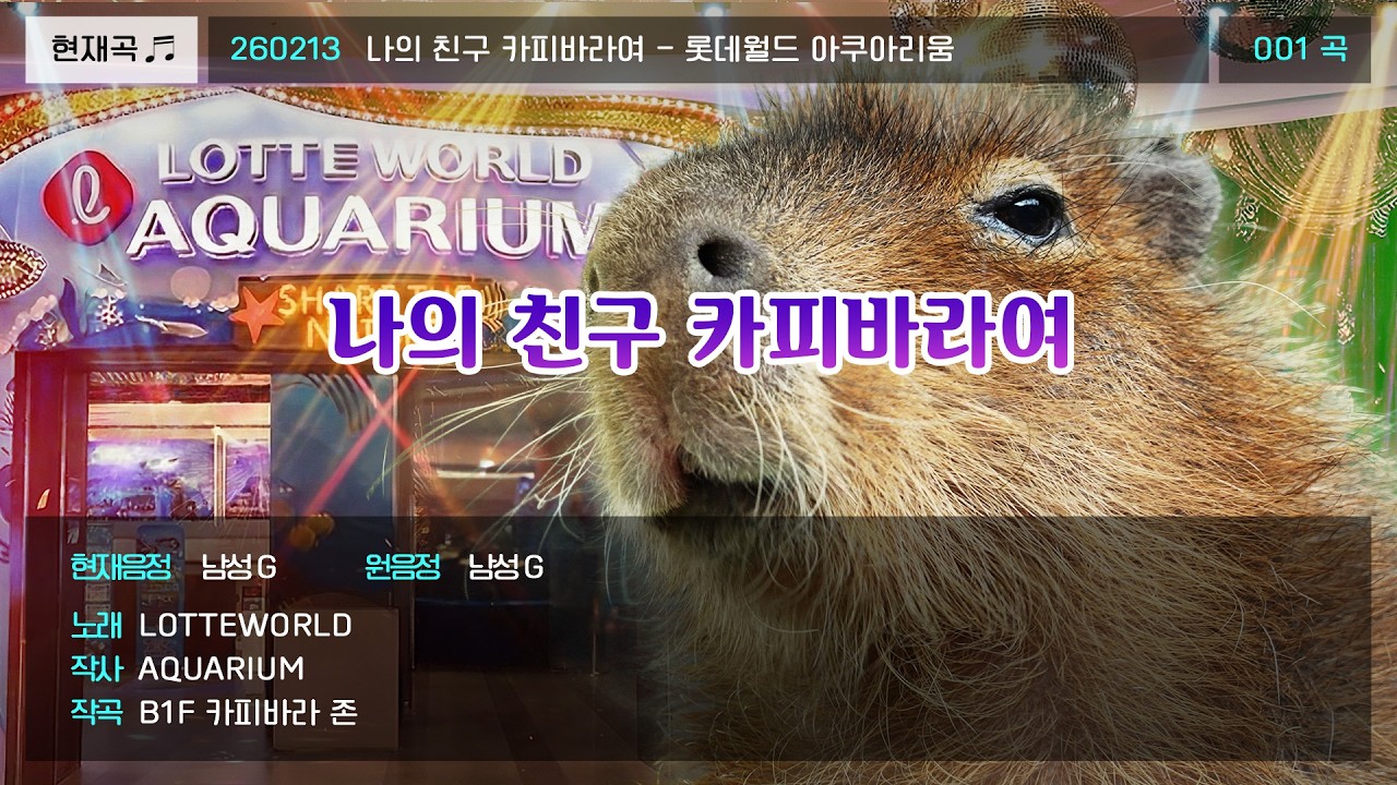 롯데월드 아쿠아리움 귀요미, 카피바라를 소개합니다!