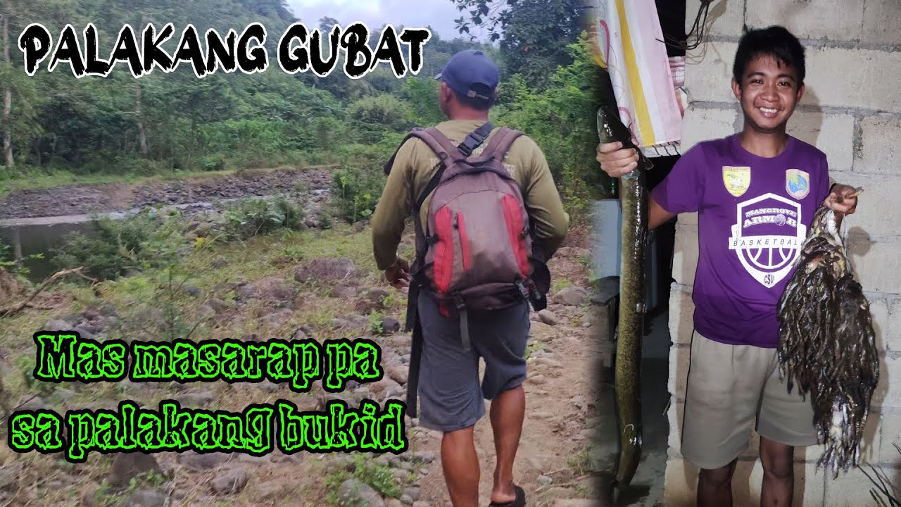 HUNTING PALAKANG GUBAT | EEL FISH AT HIPON NG SAPA/ILOG ANG MGA NAKUHA PA NAMIN