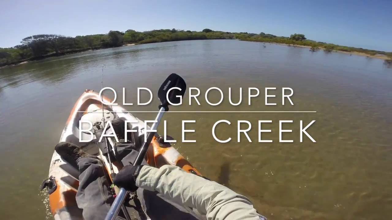 Queensland Grouper in Baffle Creek on Dragon Kayak
