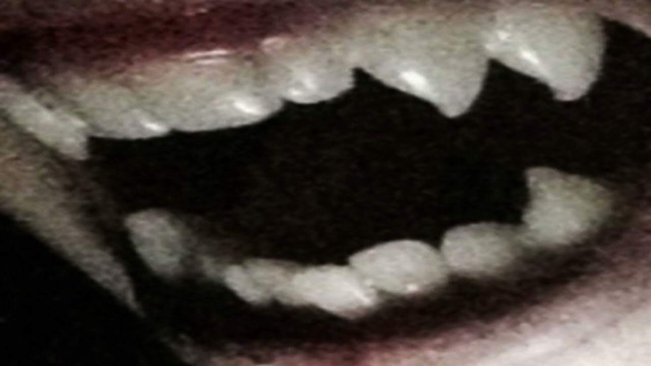 *FREE *TREFUEGO TYPE BEAT 