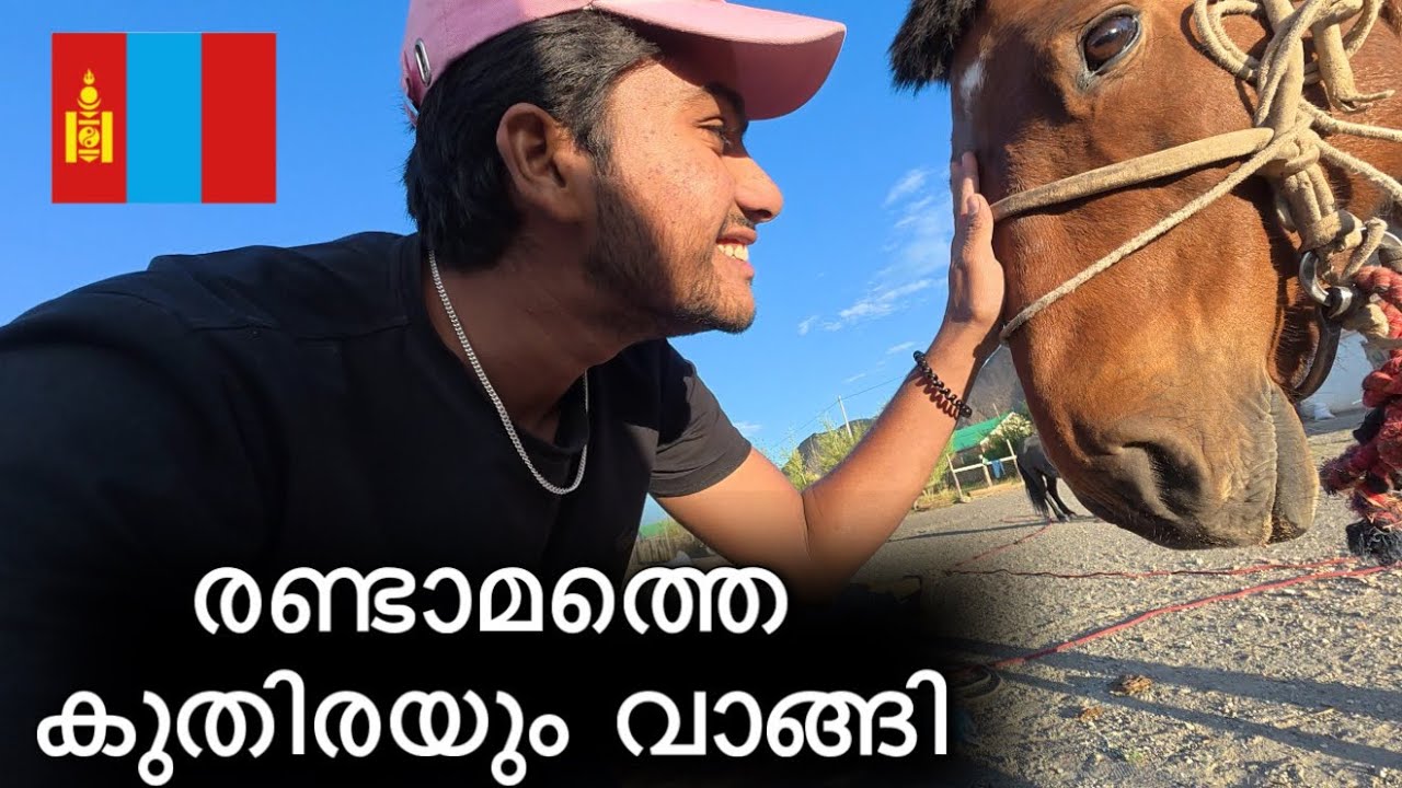 രണ്ട് മംഗോളിയൻ കുതിരക്കളെ സ്വന്തമാക്കി / buying horse in mongolia 