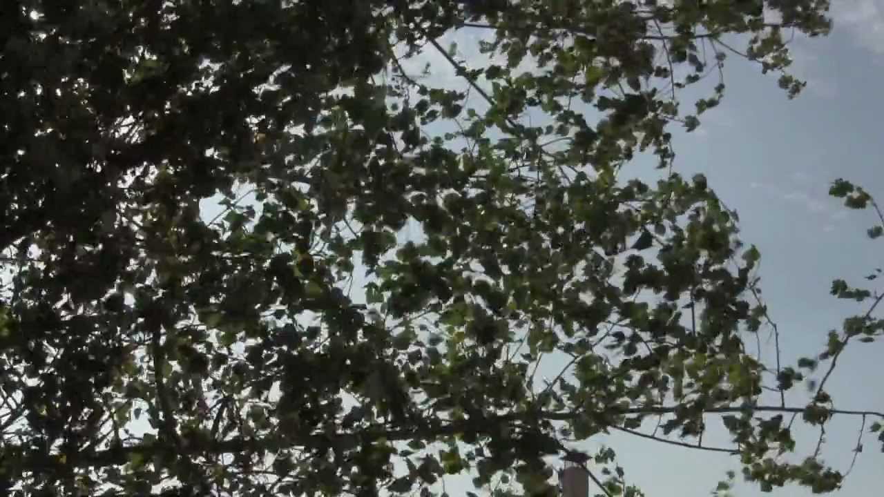 Somrurals | La teva casa rural a Catalunya