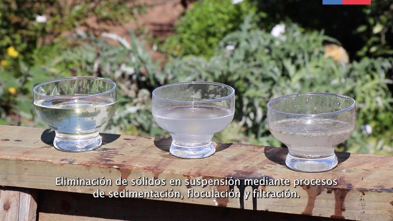 Biofiltro 🌱💧♻️