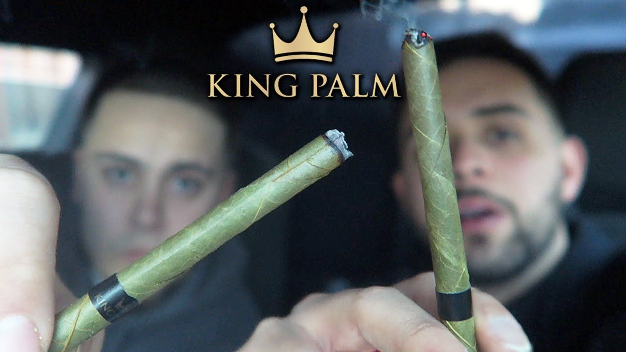KING PALM SLIM Review!