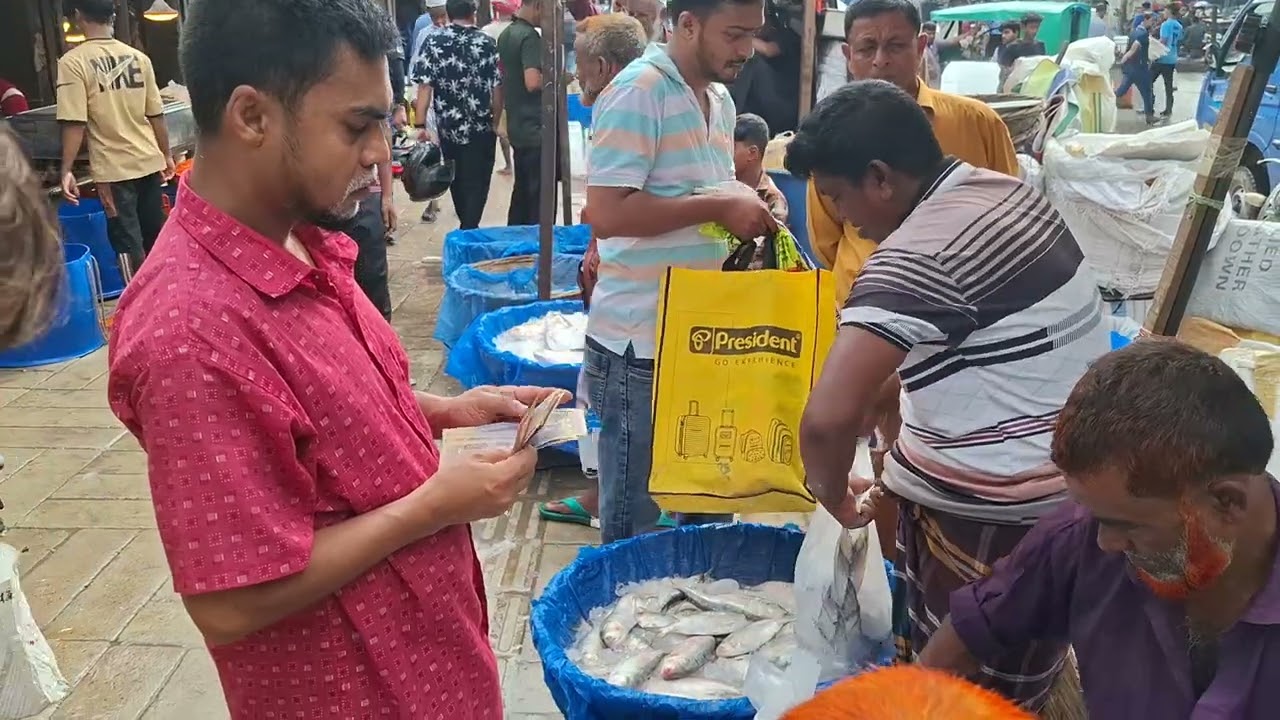 ইলিশ মাছের পাইকারি দাম 🐟 আজকের ইলিশের দাম কত, কাওরান বাজার | Hilsa (Ilish) Fish Price Today