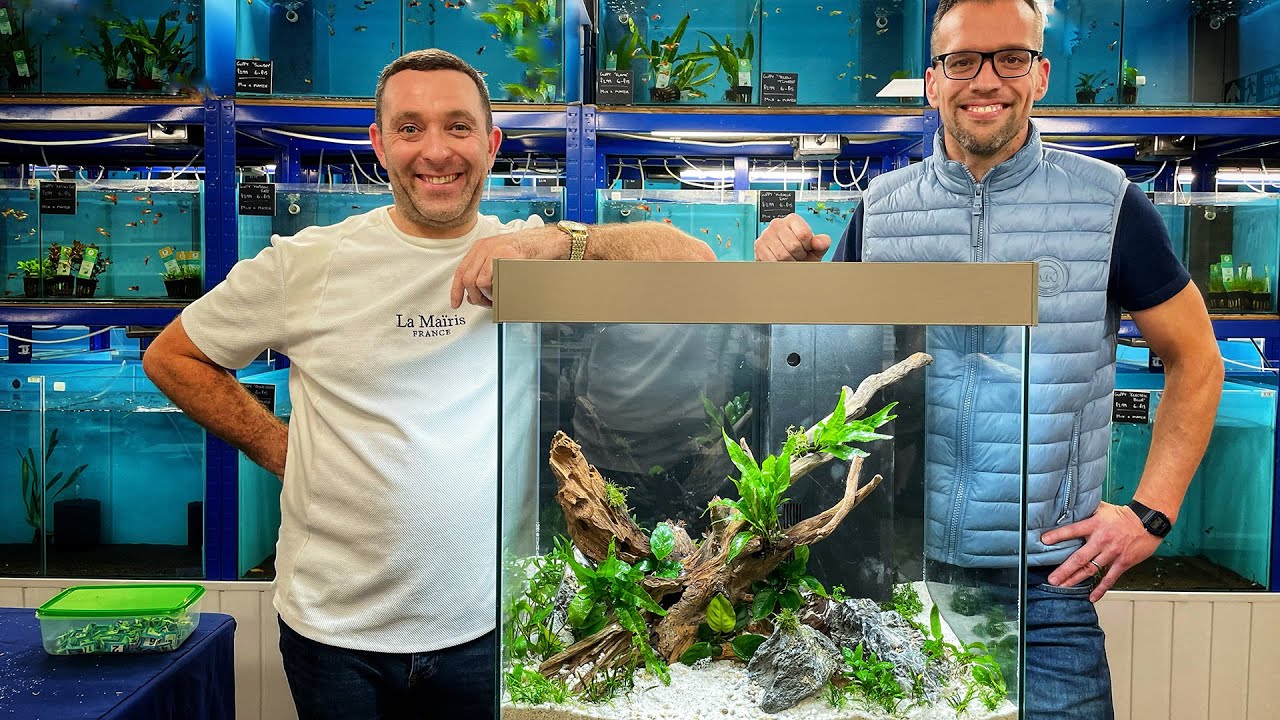 EXPERT FISH BREEDER AND HIS WONDERFUL FISH SHOP!!