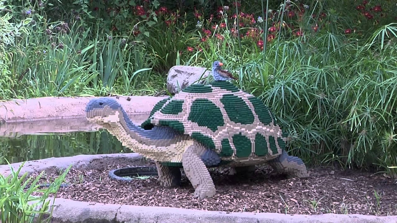 Lego Display