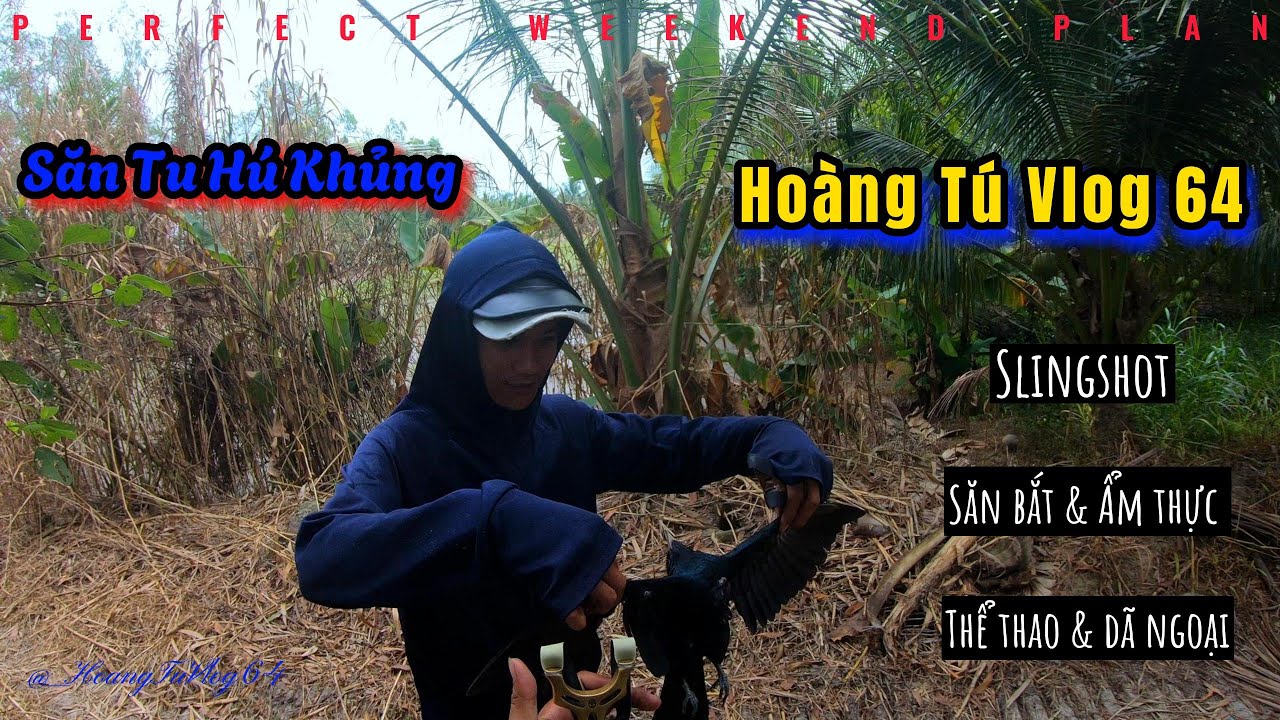 Trà Vinh || Săn Tu Hú Khủng Và Cu Cườm Về Làm Món Cu Nấu Mẻ || Hoàng Tú Vlog 64 ||