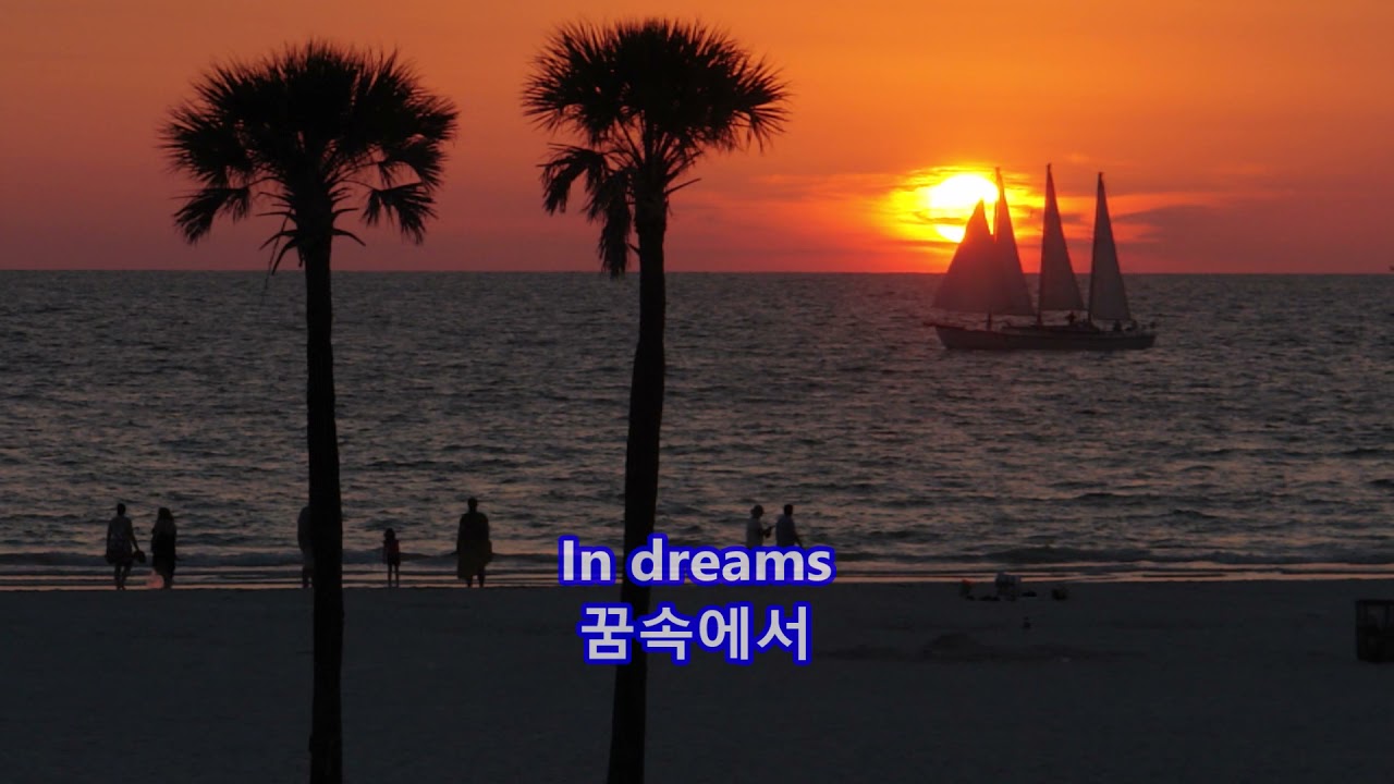 In Dreams - Roy Orbison: with Lyrics(가사번역) || Clearwater Beach, Florida on June 20, 2011