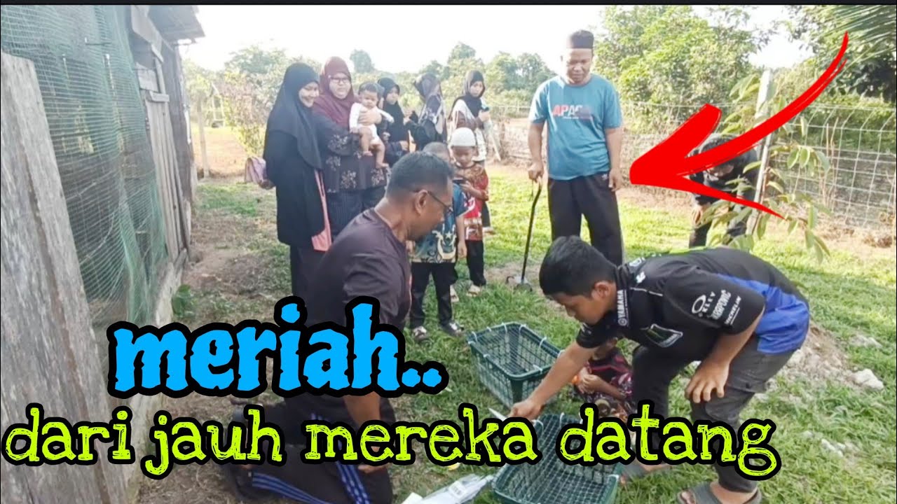 [Episod1616] 1000km perjalanan semata² nak datang jumpa pak long kebun abah. terharunya🥹