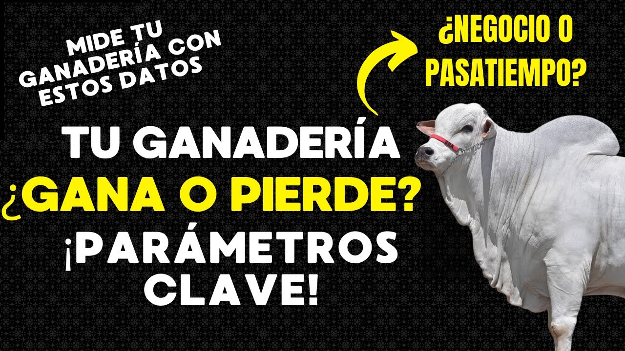 ¿TU GANADERÍA ES RENTABLE?💰🐂 DESCÚBRELO CON ESTOS 5 PARÁMETROS 📊🐂  ¡REVÍSALOS YA! ✅ #ganaderia