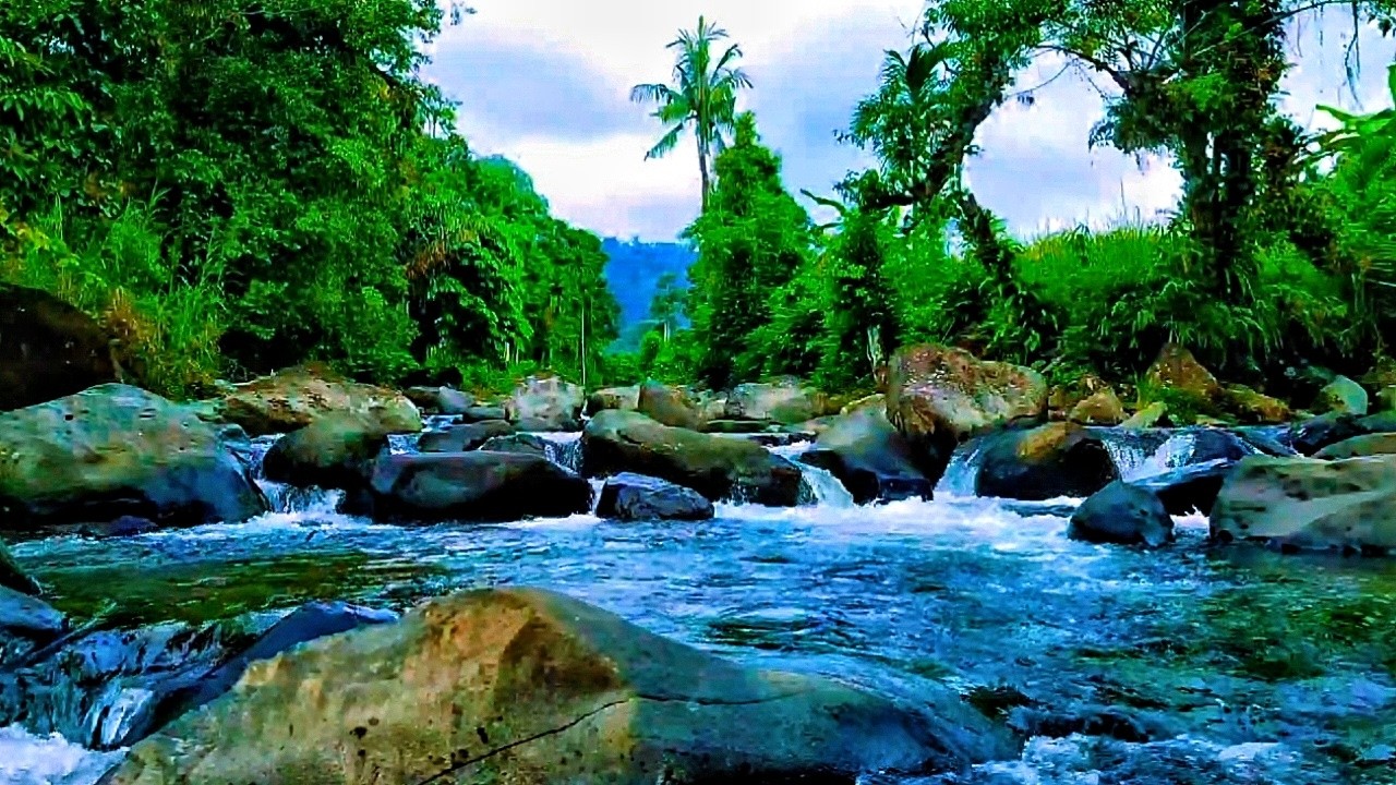 Sound of River Flowing in Forest, Relaxing Nature Sounds, white noise for sleeping, meditation, ASMR