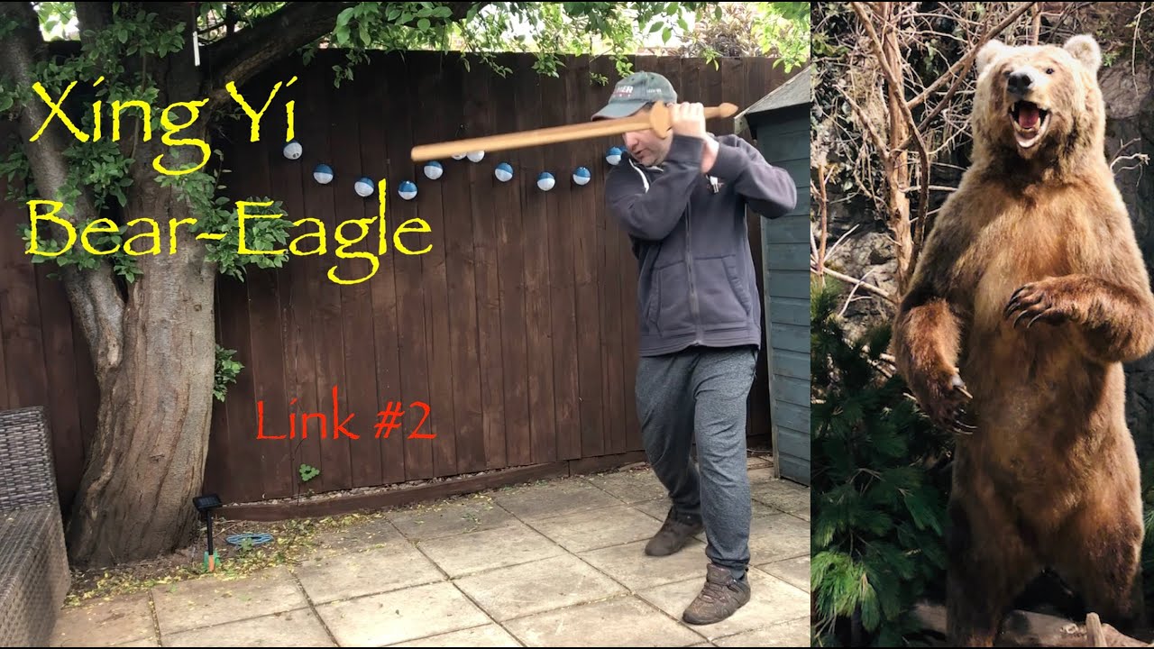 Bear (Xiong) Eagle (Ying) link 2: Xing Yi Lockdown Special #3