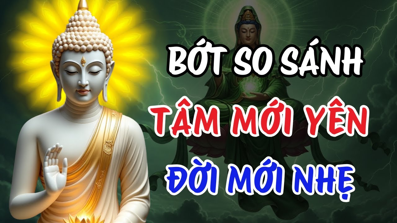 Buông Bỏ So Sánh Hơn Thua – Tâm Mới Yên | Sống Đời Tự Tại