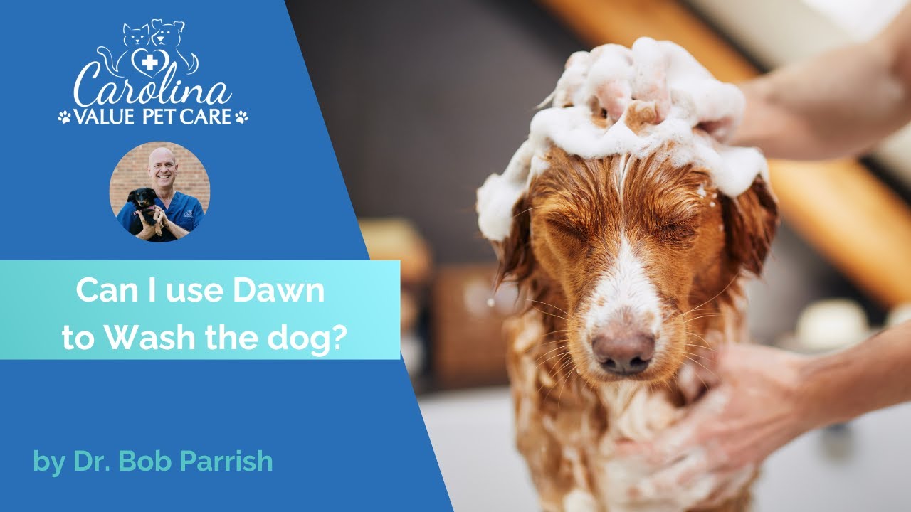 The Dawn dish soap myth