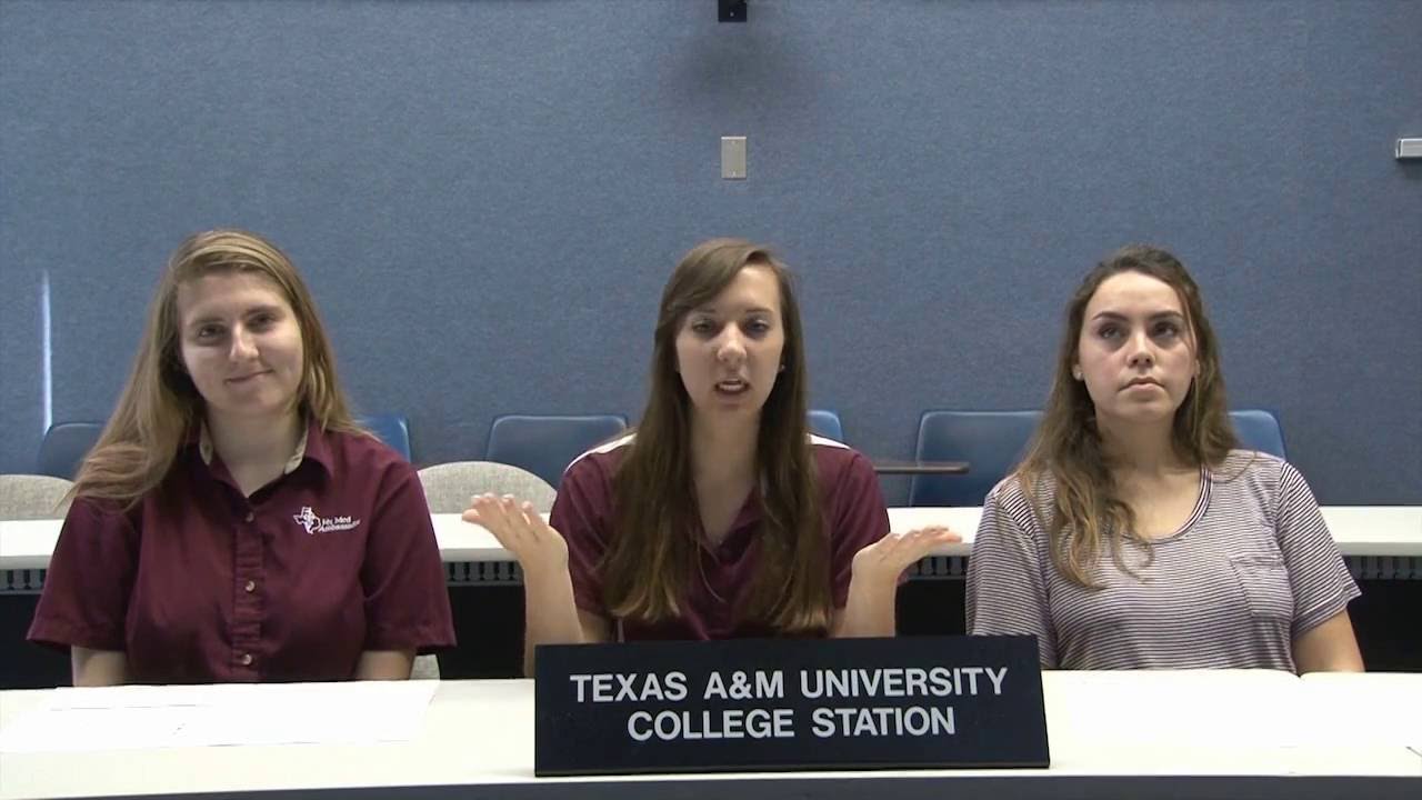 My Path to Vet School - A Veterinary Student Q&A Panel