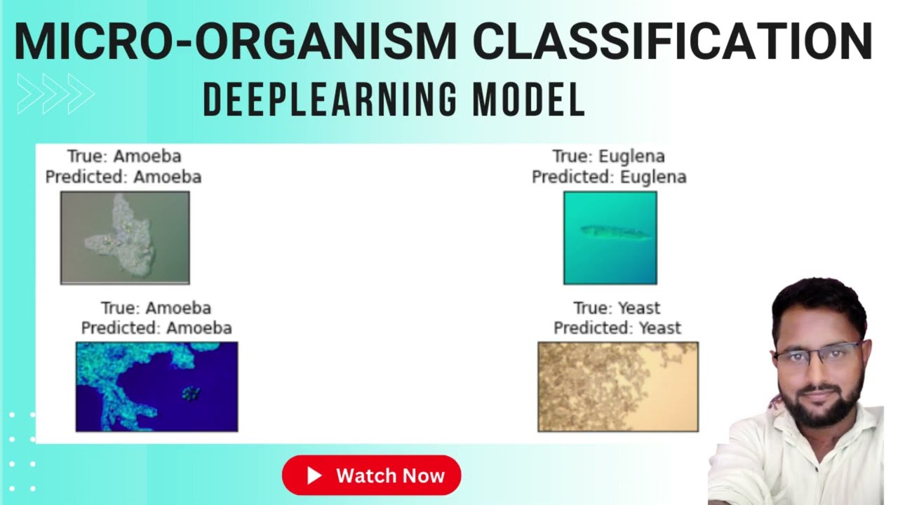 Microorganisms Classification Using Deeplearning | Deeplearning in Micro Biology | Best  2022-23