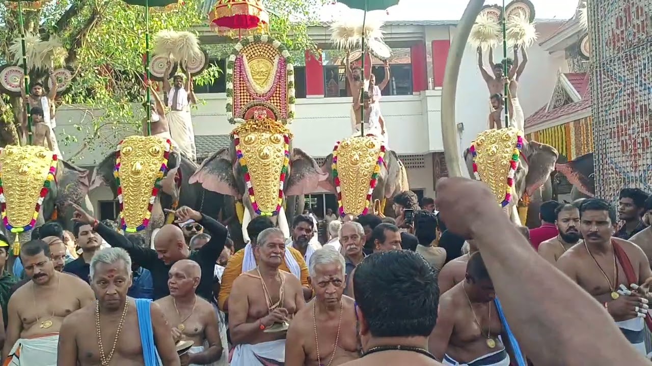 വടകുറുമ്പക്കാവ് ഭരണി വേല : ചോറ്റാനിക്കര വിജയൻമാരാർ നയിച്ച പഞ്ചവാദ്യം....