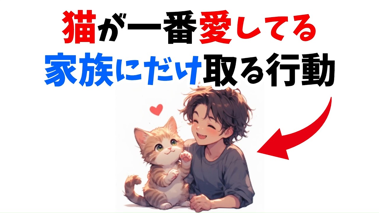 【家族で一番の人】猫が本当に愛してる相手にだけ見せる行動12選