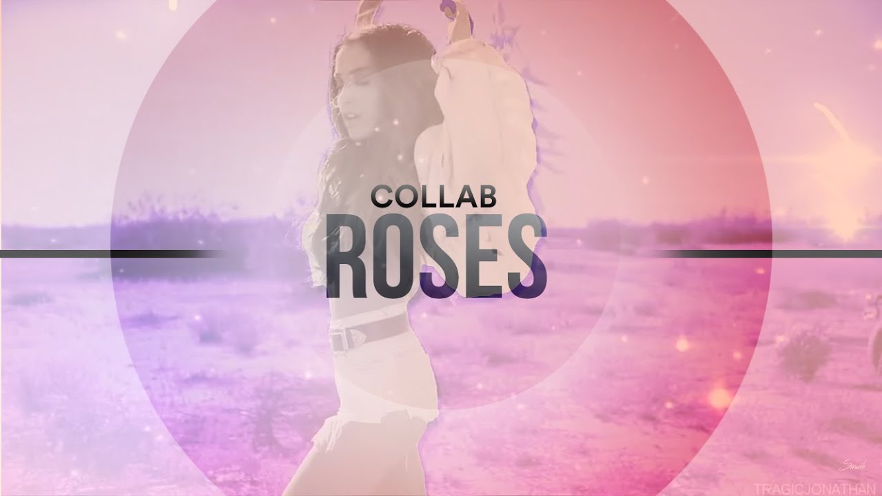 ► Roses | Multifemale
