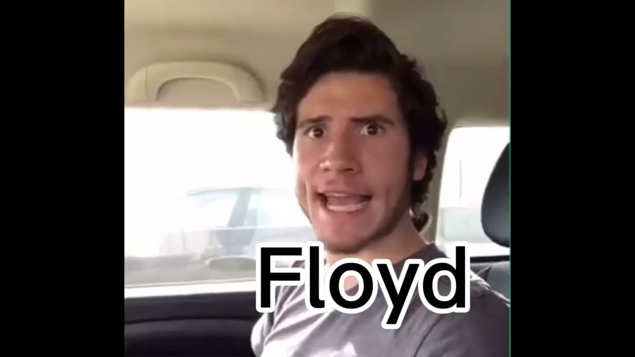 Twisted Wonderland as vines pt one