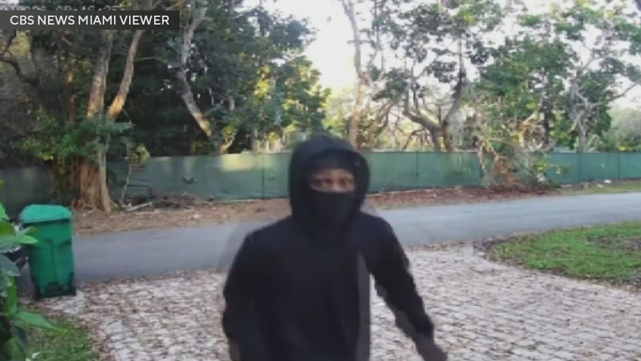 Neighbors on edge as two groups are caught on camera targeting their cars and homes in Pinecrest