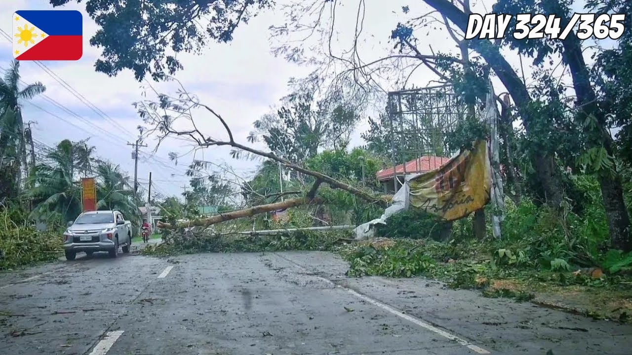 SUPER TYPHOON ODETTE HITS BOHOL | The Next Morning | No Comment
