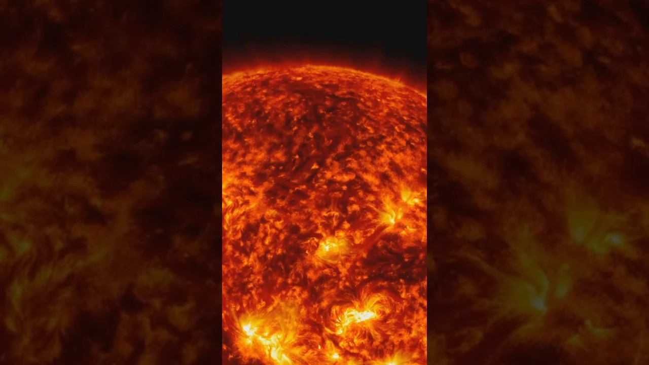 Universe Size Comparison 2025: you are tiny!  #facts #space #unearthedsecrets #universe #3d