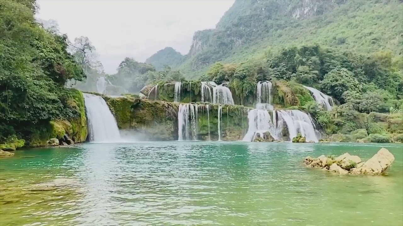 A Beleza da Natureza Para Acalmar e Relaxar