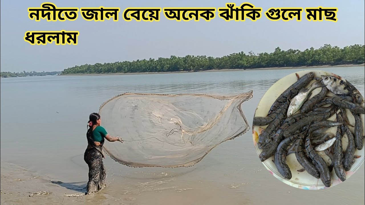 সুন্দরবনের নদীতে জাল বেয়ে অনেক ঝাঁকি গুলে মাছ ধরলাম ||Nandita Sundarban life 
