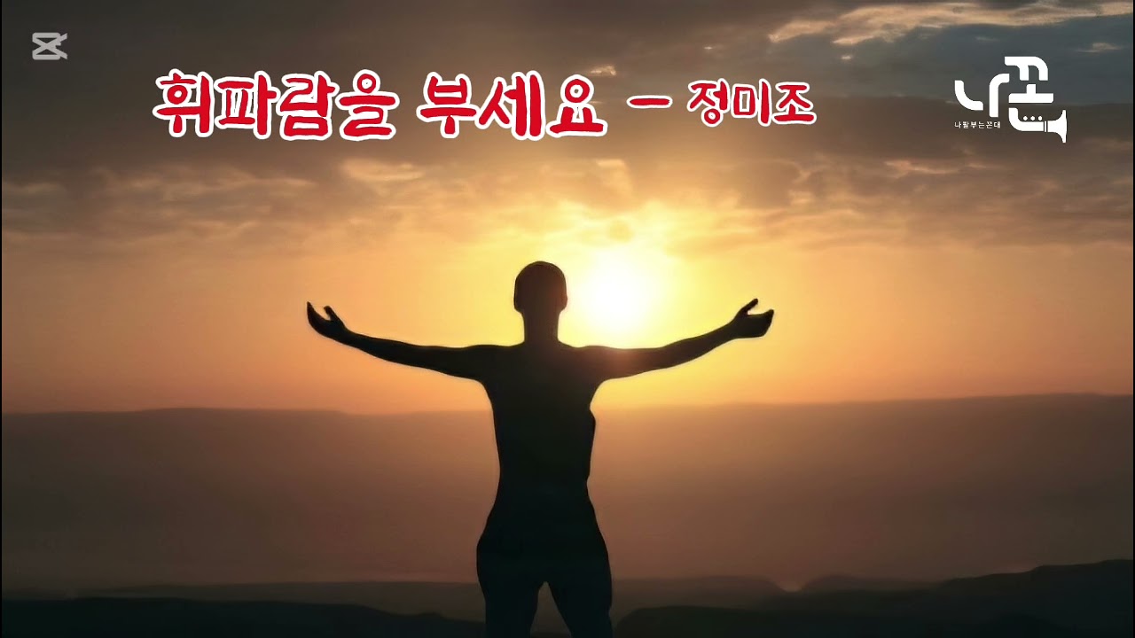 휘파람을 부세요     #정미조    #에어로폰    #나꼰 