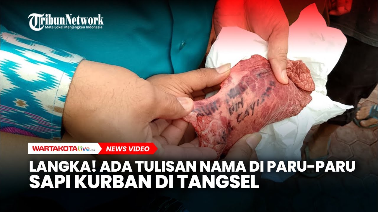 Langka! Ada Tulisan Nama di Paru-Paru Sapi Kurban di Tangsel